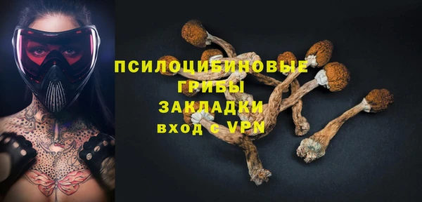 хмурый Алексеевка