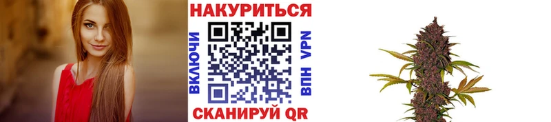 цены наркотик  Славск  Бошки Шишки THC 21% 